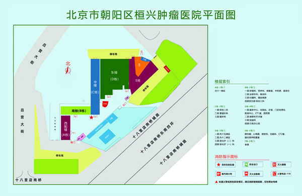 黑人操逼视频了吗北京市朝阳区桓兴肿瘤医院平面图